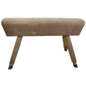Gymnastický kožený kůň